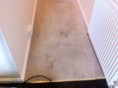 /album/photo-gallery-reach-wash/carpet-before-jpg/
